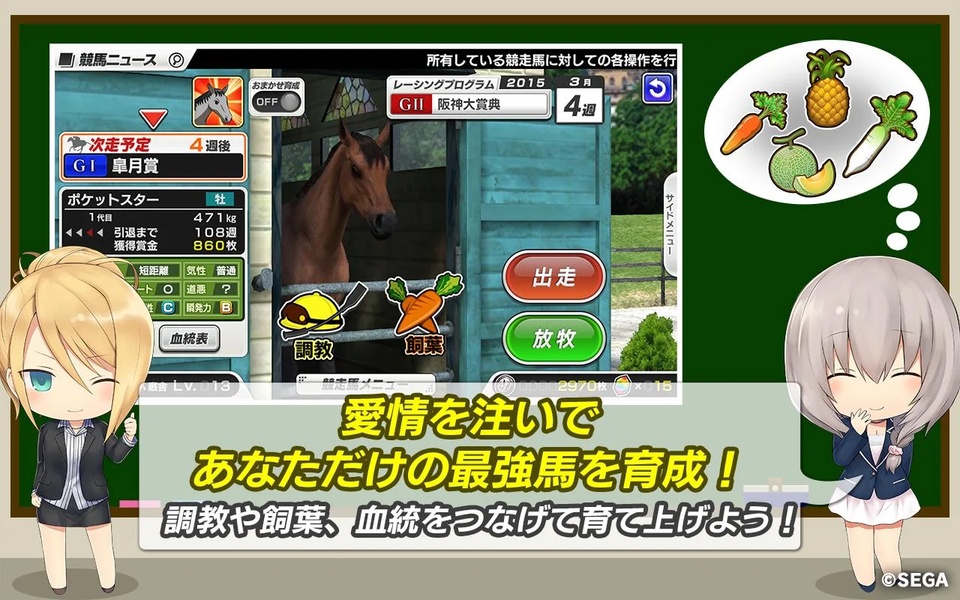 StarHorse Pocket - Preview 5