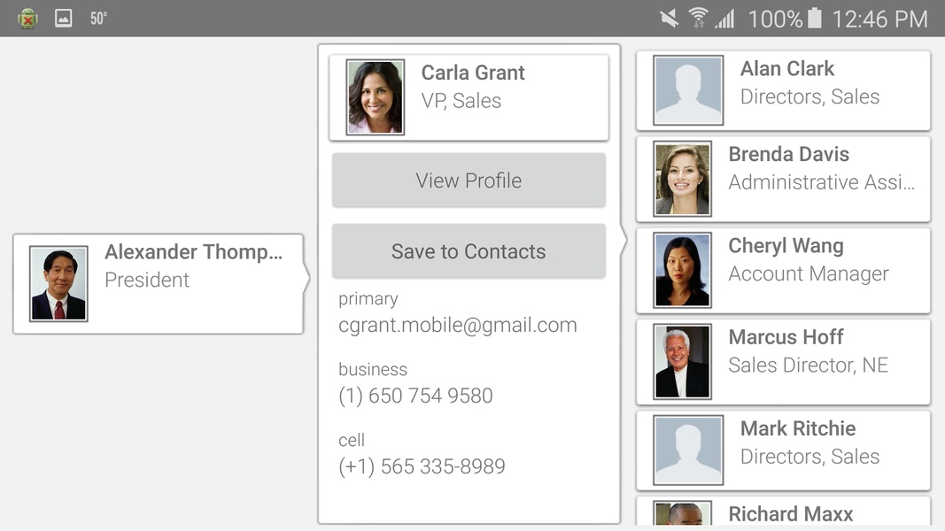 SuccessFactors - Preview 3