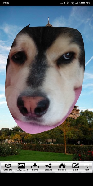Copy Paste Photo Camera Editor - Preview 7