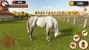 Stable Horse Animal Care Games screenshot 1