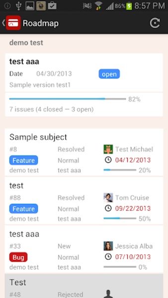 RedminePM - Preview 4