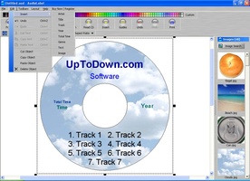 AudioLabel CD DVD Labeler 5.00 Build 9 para Windows - Descargar