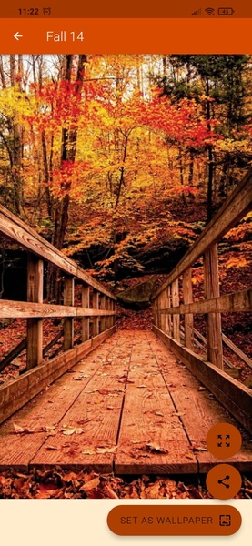 Fall Wallpaper 4K - Preview 6