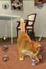 Talking Lovely Cat screenshot 1