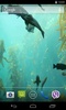 Aquarium HD Live Wallpaper screenshot 3
