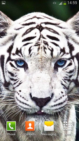 White Tiger Live Wallpaper - Preview 10