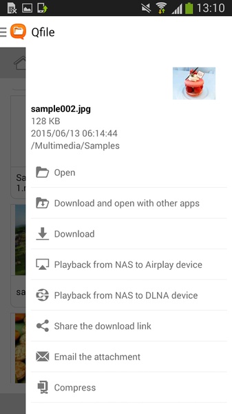 Qfile - Preview 16