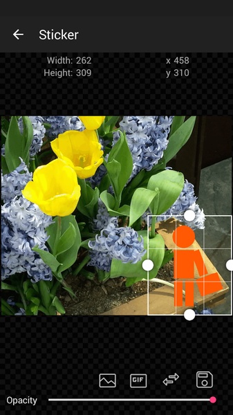 GIF Studio - Preview 13