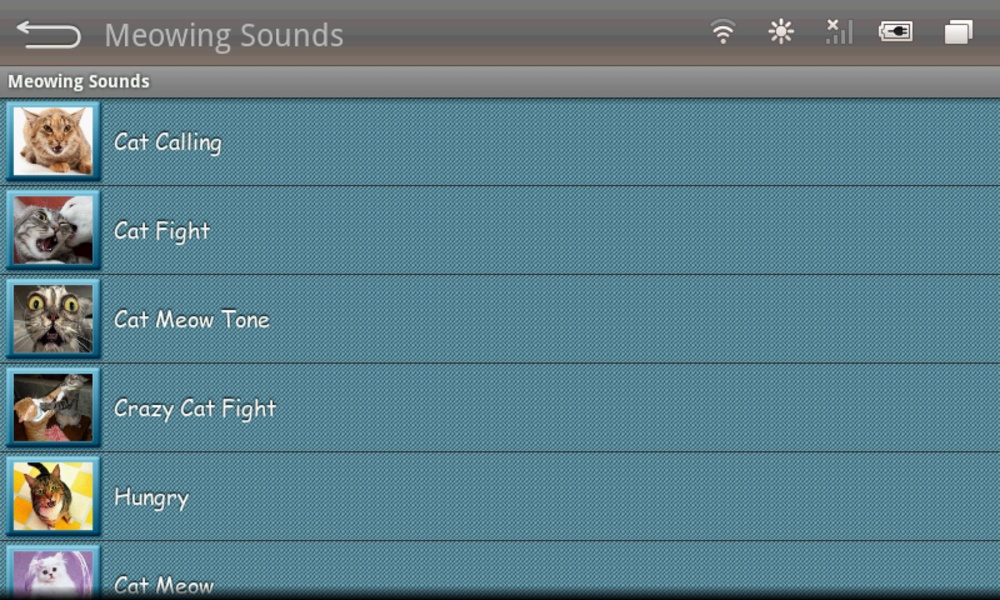 Meowing Cat Sounds - Preview 13