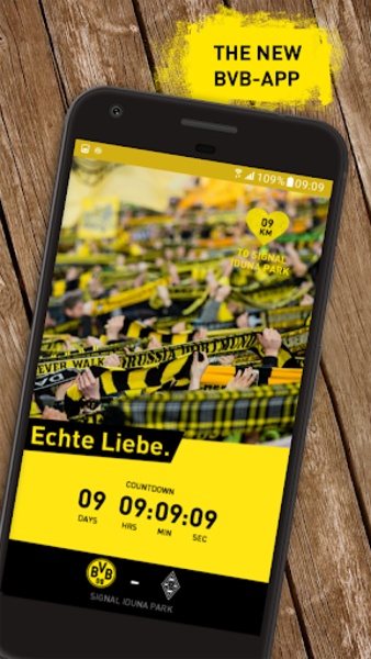 BVB - Preview 8
