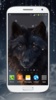หมาป่าวอลล์เปเปอร์ screenshot 6