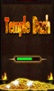 Temple Dash screenshot 9