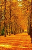 Autumn Landscape Wallpaper screenshot 3
