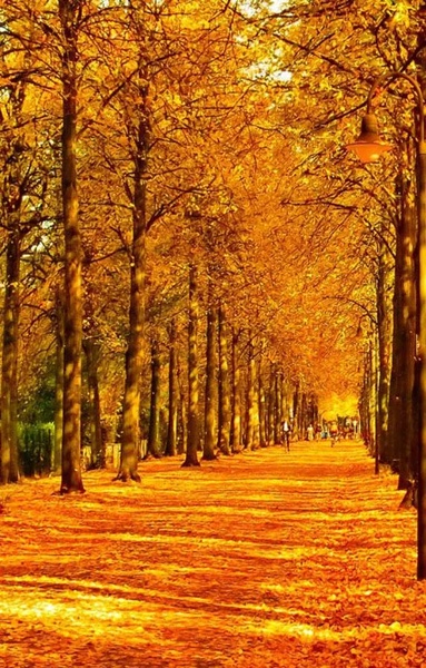 Autumn Landscape Wallpaper - Preview 3