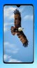 Eagle Wallpaper HD screenshot 6