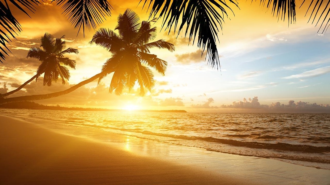 Beach Sunset Live Wallpaper - Preview 1