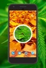 Leaf Clock Live Wallpaper screenshot 2