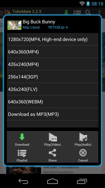 Download Video Mp4 - Downloader - Preview 2