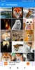 Fox Wallpaper: HD images, Free Pics download screenshot 7
