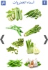 تعليم أسماء الخضروات screenshot 4