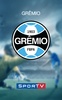 Grêmio screenshot 6
