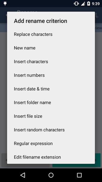 Bulk Rename Wizard - Preview 5