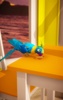 My Talking Parrot screenshot 5
