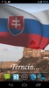 Slovakia Flag screenshot 6