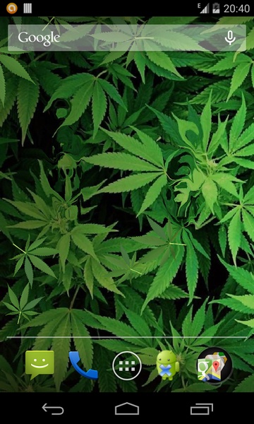 Marijuana - Preview 3