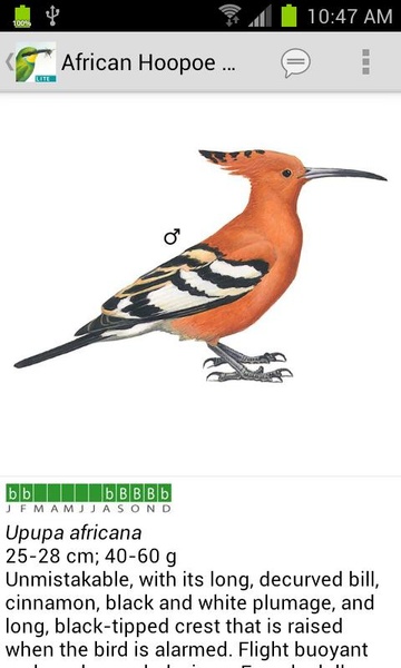 Sasol eBirds (Lite) - Preview 6