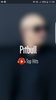 Pitbull Top Hits screenshot 6
