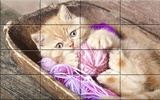 Cats Puzzle screenshot 5