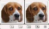 Guess the Dog: Tile Puzzles screenshot 4