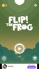 Flip! the Frog screenshot 1