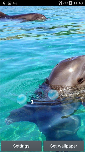 Dolphin - Preview 3
