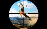 Birds Hunting Challenge Game screenshot 2
