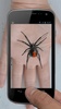 Spider Hand Funny Joke screenshot 4