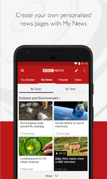 BBC News - Preview 15