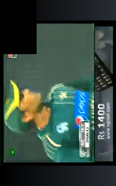 Purus Cricket ODI - Preview 1