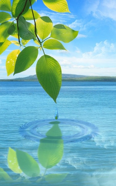 Water Drop. Flowers and Leaves. - Preview 7