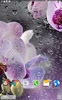 Orchids Live Wallpaper screenshot 9