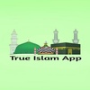 True Islam - Quran, Hadees and Aqaid screenshot 7
