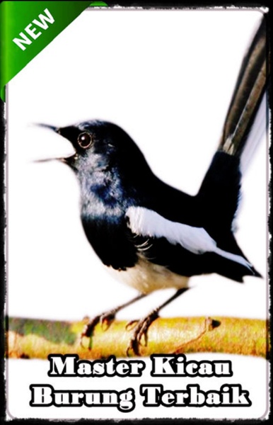 Master Kicau Burung Terbaik - Preview 4