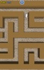 Rat Race Maze Craze screenshot 3