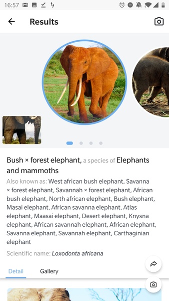 Picture Animal - Animal ID Pro - Preview 6