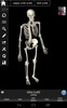 Essential Skeleton 3 screenshot 1