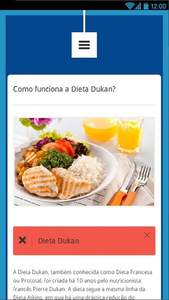 Dieta Dukan Receitas - Preview 2