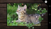 JIGPU Jigsaw Puzzles screenshot 6