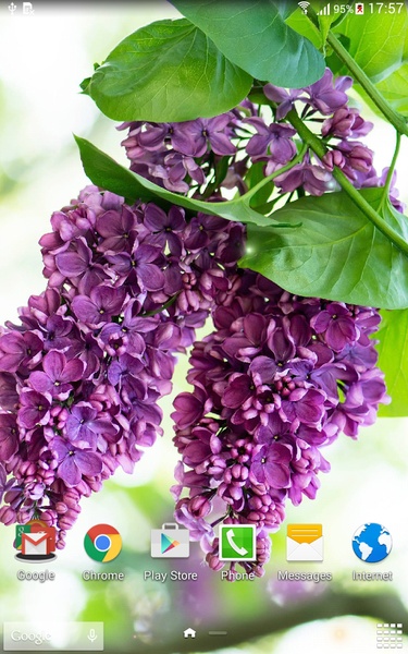 Lilac Live Wallpaper - Preview 2