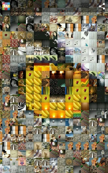 Mosaicture Lite - Preview 6